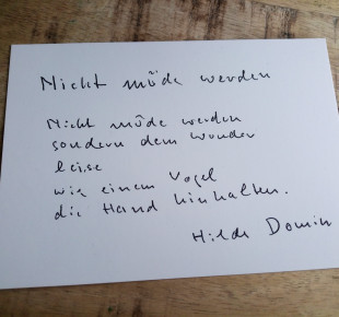 Beitragsbild